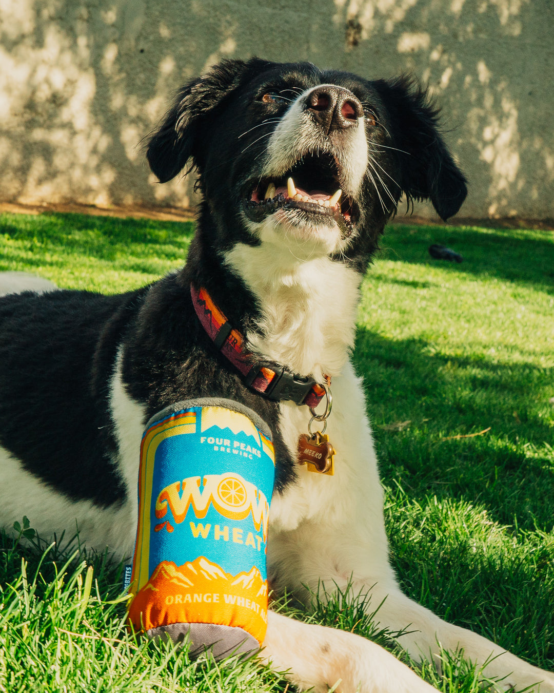 Wow Can Toy – Four Peaks Brewing Company