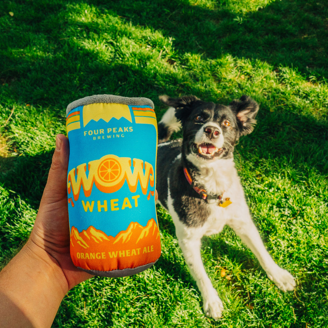 Wow Can Toy – Four Peaks Brewing Company