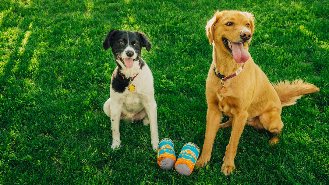 Wow Can Toy – Four Peaks Brewing Company