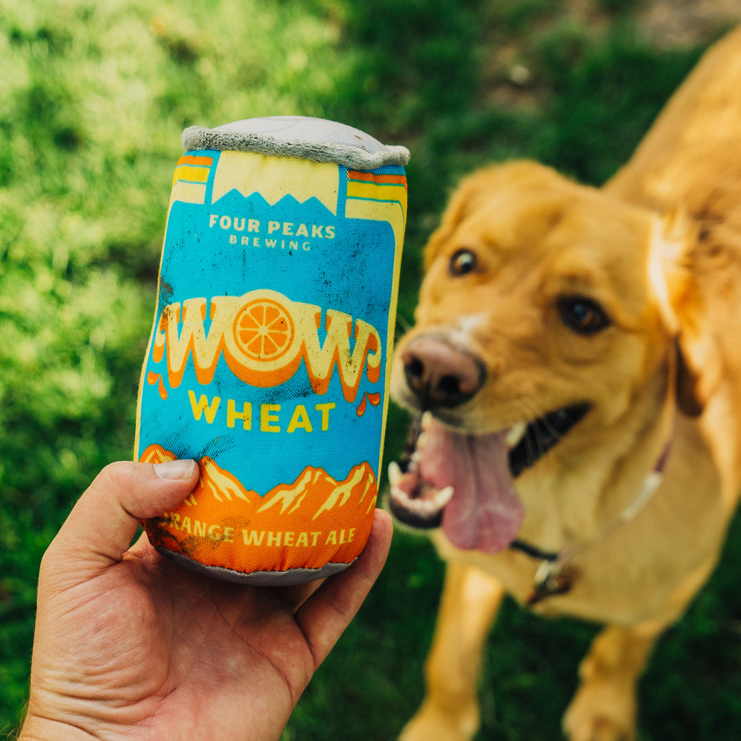 Wow Can Toy – Four Peaks Brewing Company